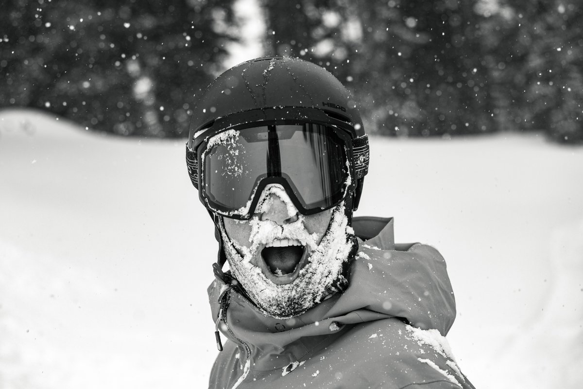 Snowbird tweet media