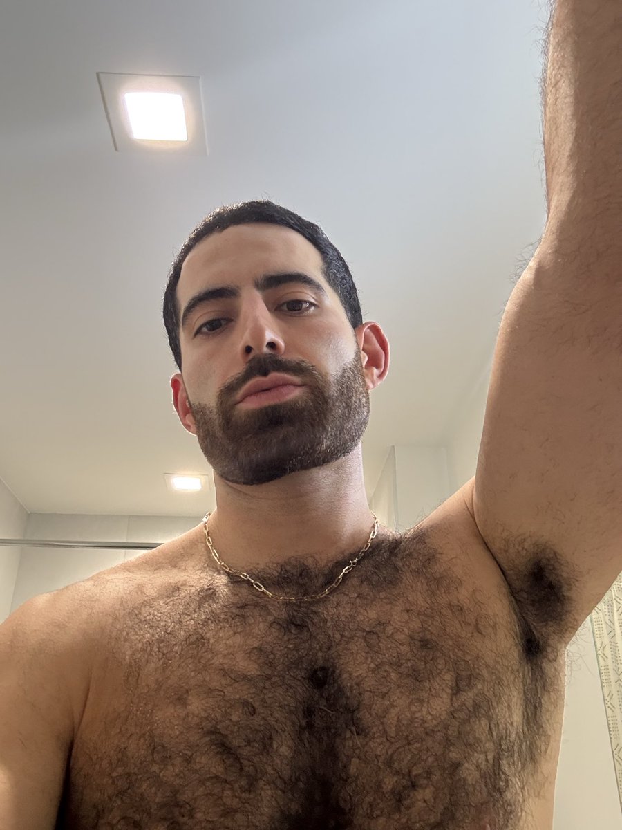 Farhad Mashhad tweet media