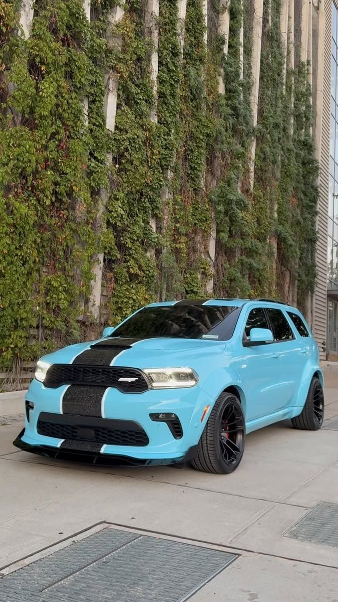 Shine Graffix tweet media