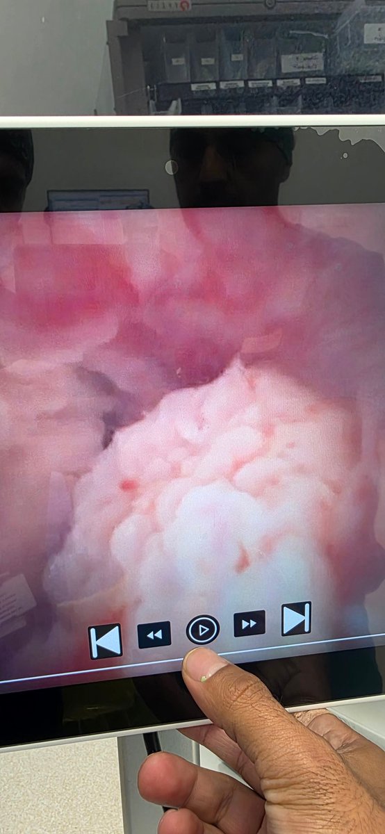 Felipe Urrea Romero tweet media