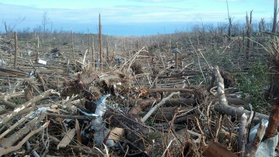 Weather History tweet media
