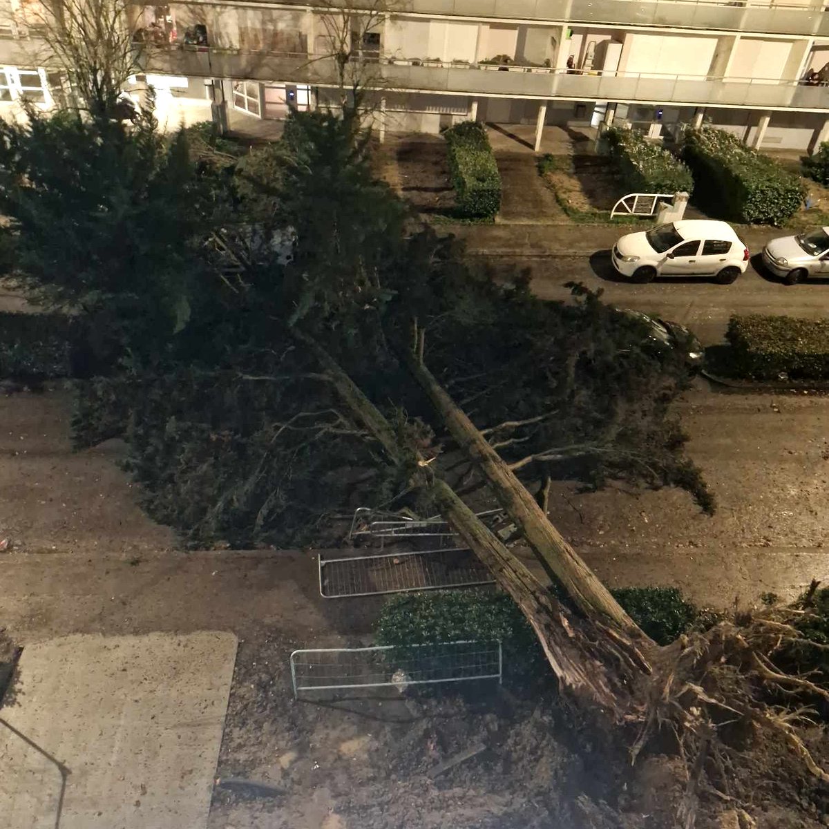 MeteoExpress's tweet photo. 💨 La tempête Nils frappe fort en Aquitaine ! À minuit, on mesure 121 km/h à Bordeaux ! De nombreuses chutes d'arbres sont signalées, ici à Cenon dans l'est de la métropole. (© Abdullah Bozkir via Alerte Météo Gironde) https://t.co/BJ7SUHT4MN