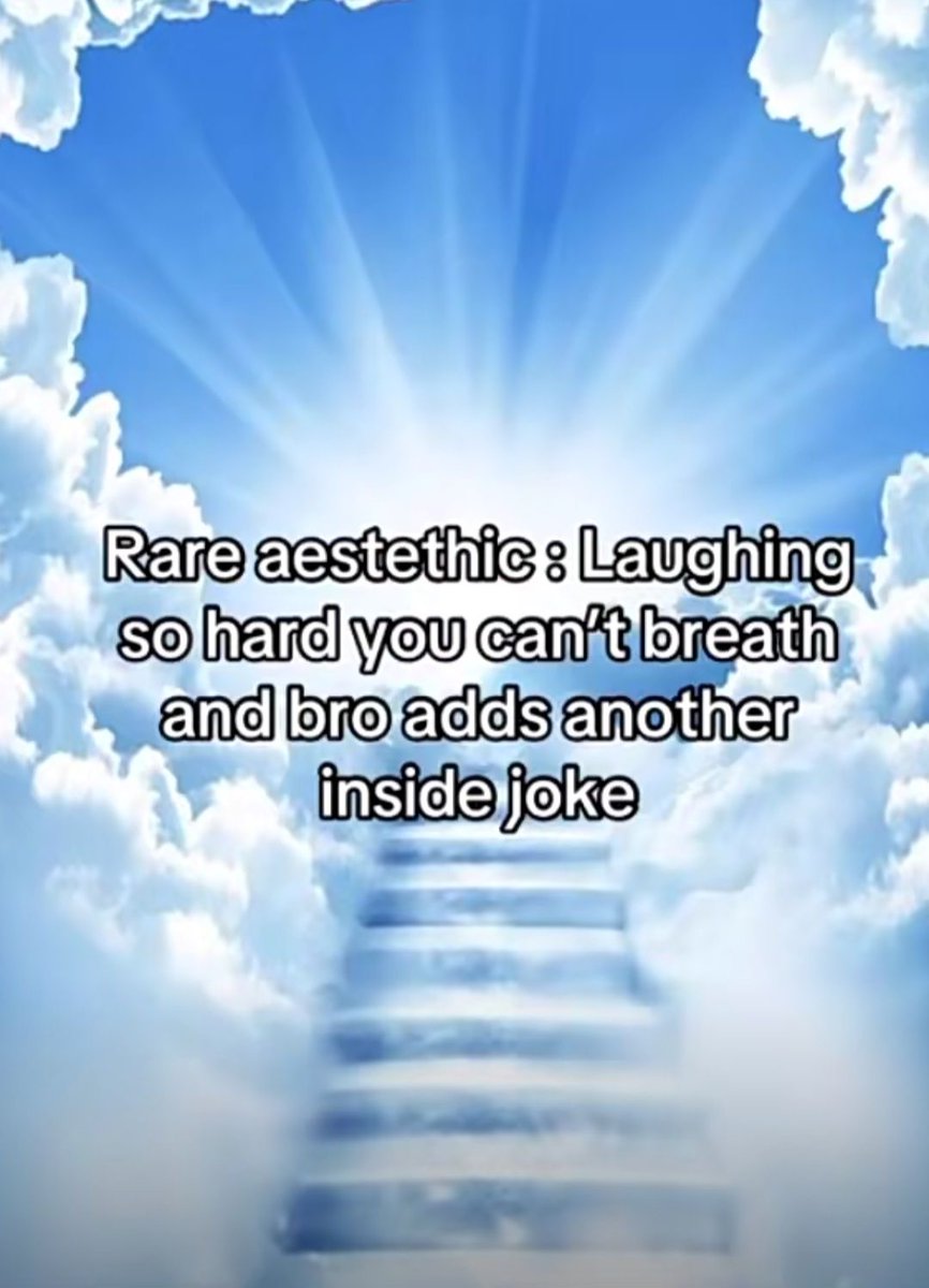 dex 💫 (@lowkeydex) on Twitter photo 