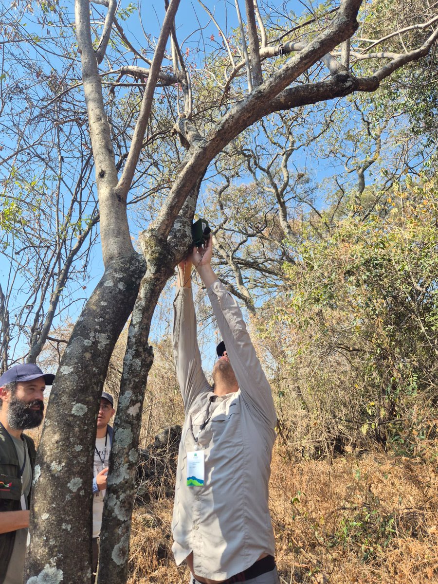 LNCBioCC tweet media