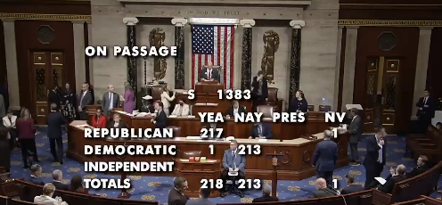 BREAKING: The House just passed the SAVE America Act-- requiring ID and proof of citizenship to vote in federal elections.

Only one Democrat voted for it.