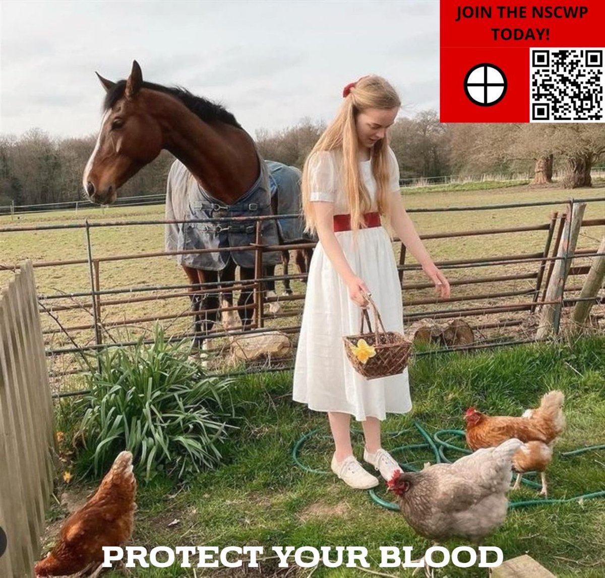 Sam Rego tweet media