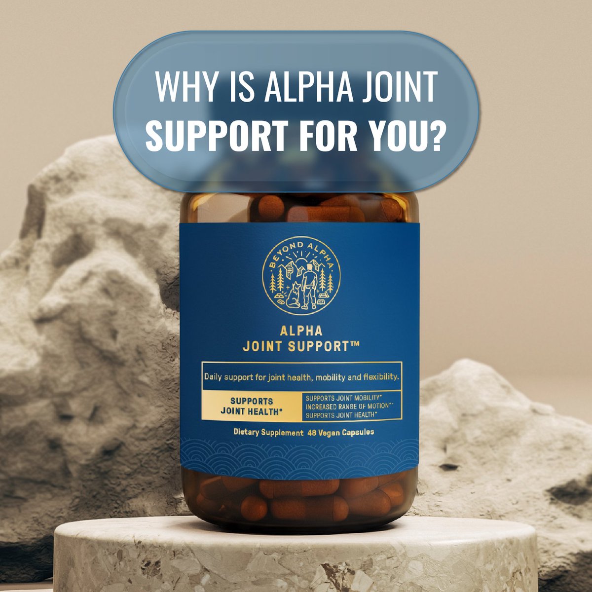 Beyond Alpha tweet media