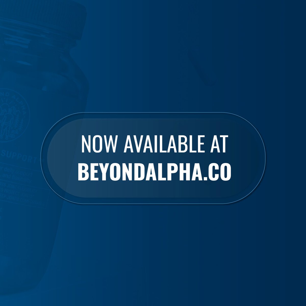 Beyond Alpha tweet media