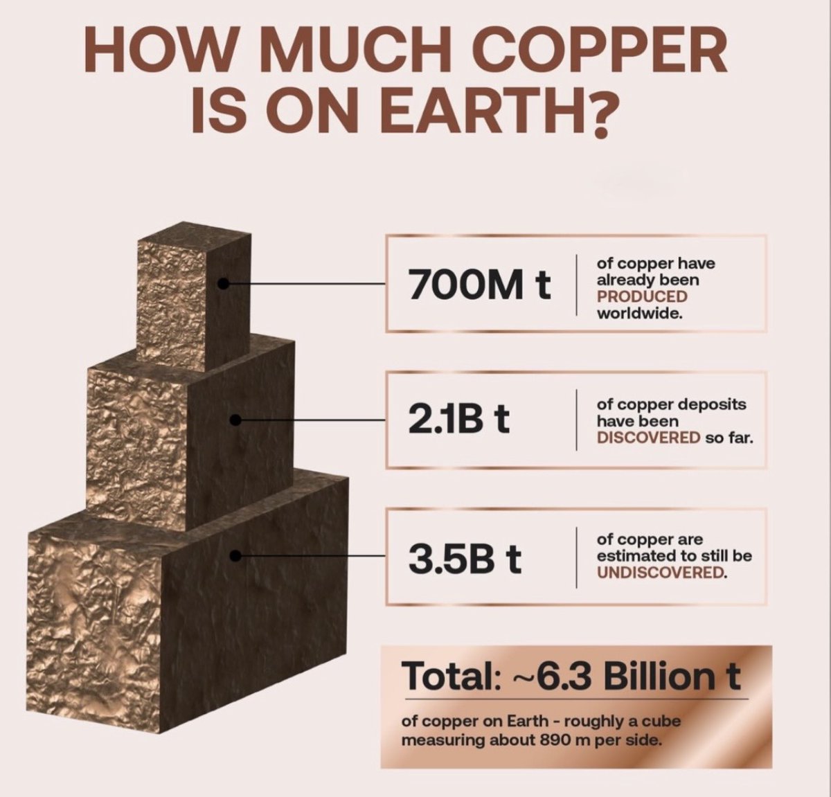 Jack Prandelli tweet media