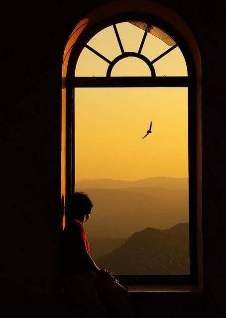 📷 Hiroshi Hayakawa

#photooftheday
#blueskyphotography
#photokind