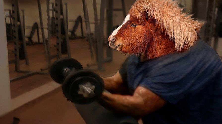 Pomy Fat Fatpony (@fatpony00) / Posts / X