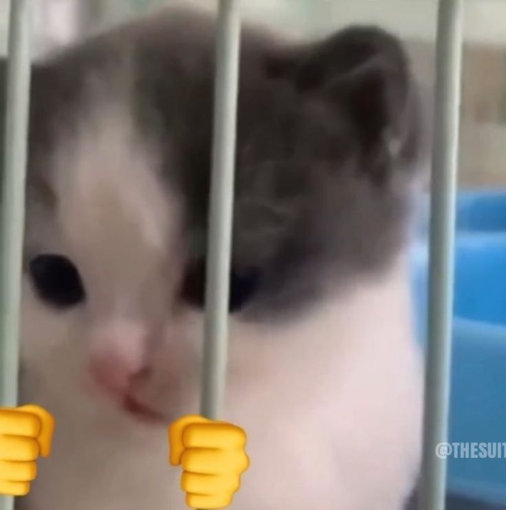 LUNES DE BITS 
RT Y SALUDITOOO VENTEEE