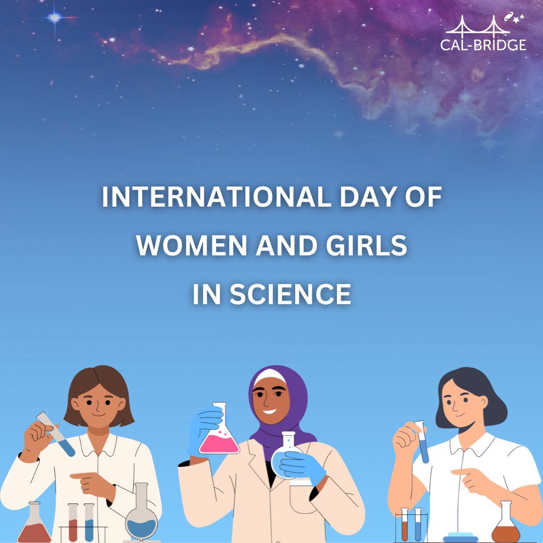 Cal-Bridge Program tweet media