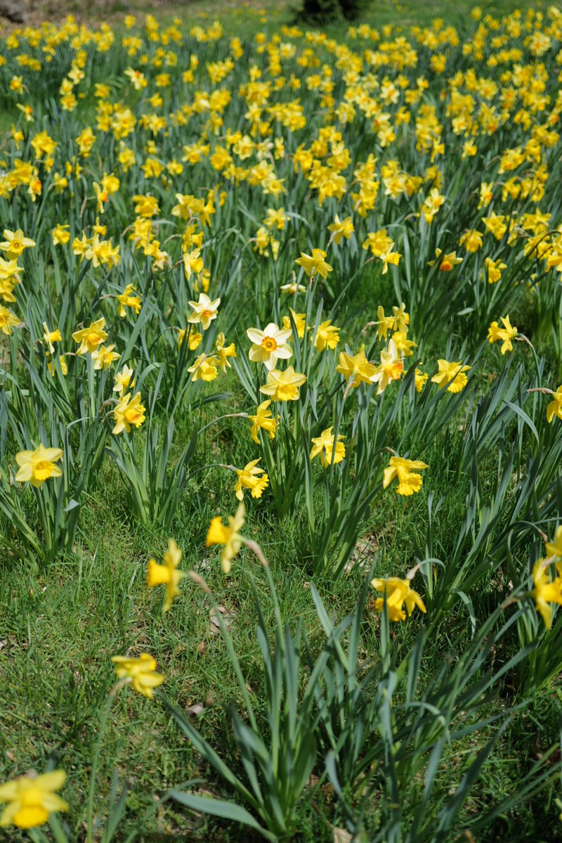 soon
x.com/pauljpastor/st…