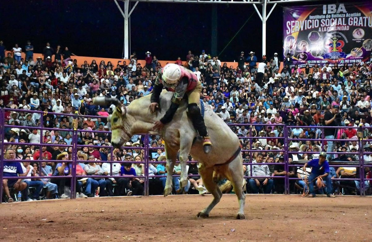 rigelioux's tweet photo. Del 15 al 22 de febrero, la unidad se convierte en fiesta. 🎉

Tecomatlán abre sus puertas a miles de visitantes de todo el país.

#VamosATecomatlán https://t.co/0GeuL3aF4N
