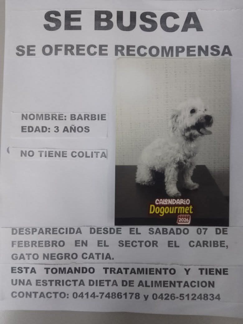 Se busca en Catia Gato Negro, Caracas