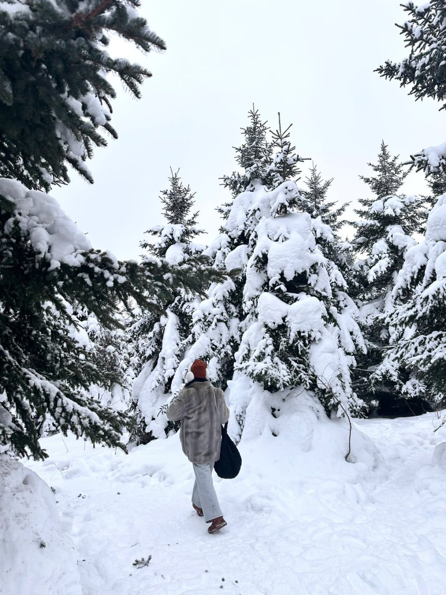 olivia092smith's tweet photo. Everything is back to normal, but I find myself longing for the frost. Snow, please come back soon! ❄️💙 #SnowLonging #ColdWeather #WinterDream https://t.co/saZEO9IoVc