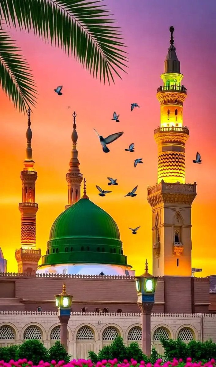 السلام علیکم ورحمتہ اللّہ وبرکاتہ 🍃 

صل اللّٰہ علیہ وآلہ وسلّم 
Good morning have a wonderful day