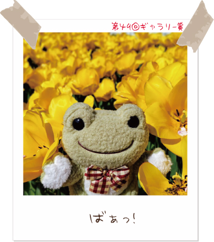 かえるのピクルス/pickles the frog (@picklesthefrog6) / Posts / X