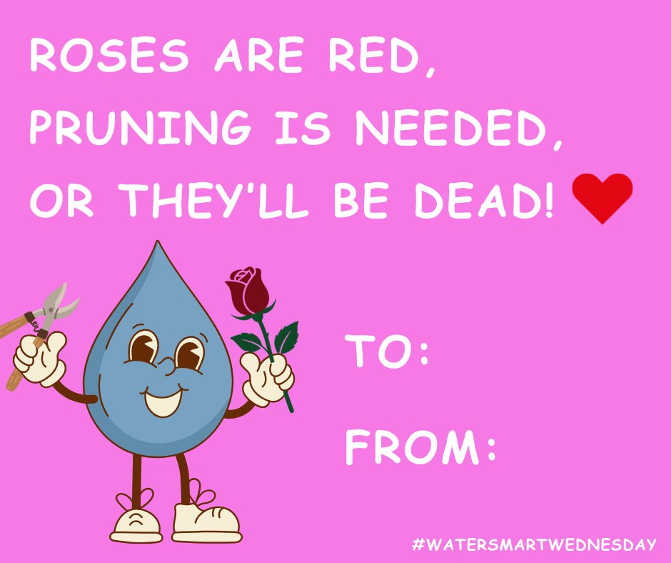 City of Grand Prairie, TX tweet media