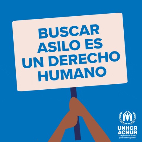 ACNUR_es's tweet photo. Para toda persona, cuando sea, donde sea: 

Solicitar asilo es un derecho humano. https://t.co/NEph2Oideg