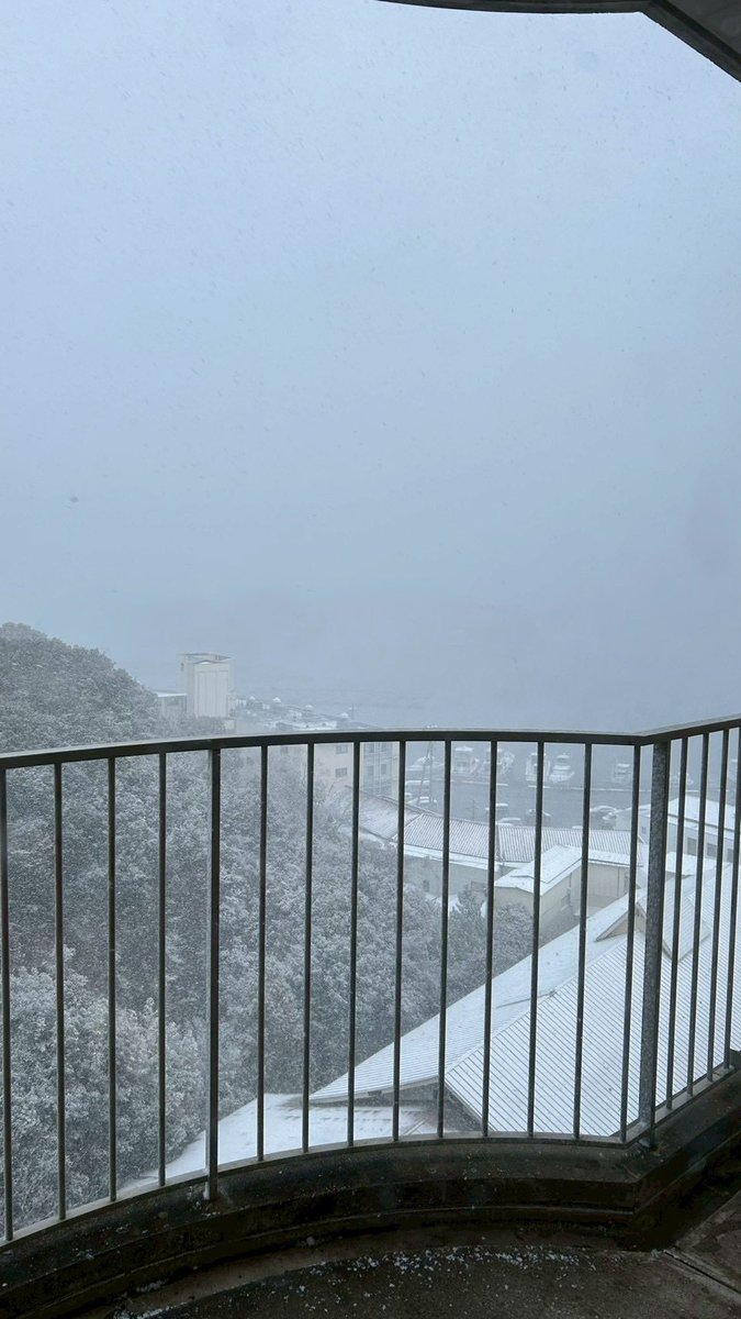 keizo11's tweet photo. 2/9に1歳になりましたー!
白浜旅行に行って参りました😁出発日が吹雪だった為、当初の予定とは違ったけど、翌日は快晴で目的だったアドベンチャーワールドには行けたぞー!
4月から保育園で、バタバタするだろうけど妻と姫との時間を大切にして、いっぱい楽しむぞー! https://t.co/XR7nOnTiai