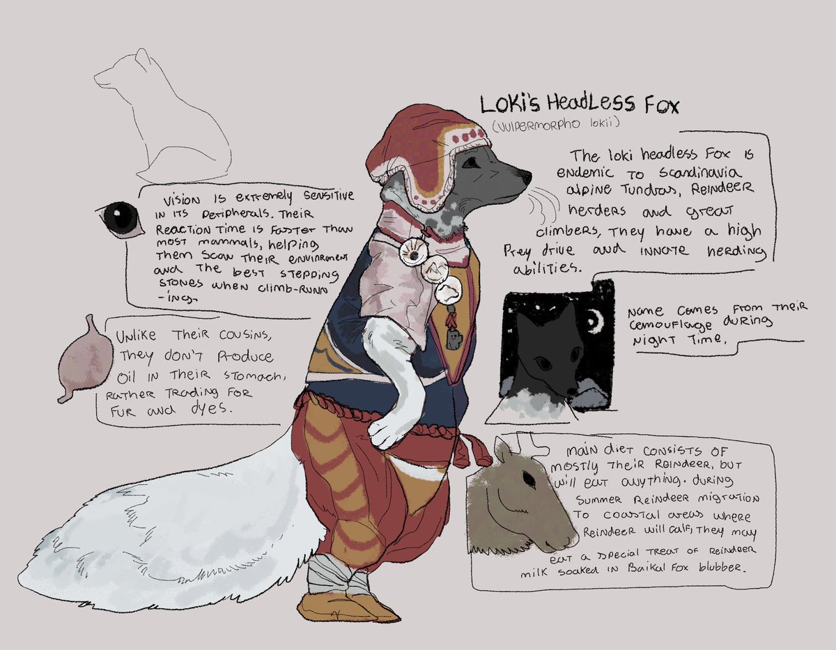 LEPER_KlNG's tweet photo. ash is a great horned arctic fox, her big ass eyebrows are part of her species
https://t.co/CaPYrTXAGn