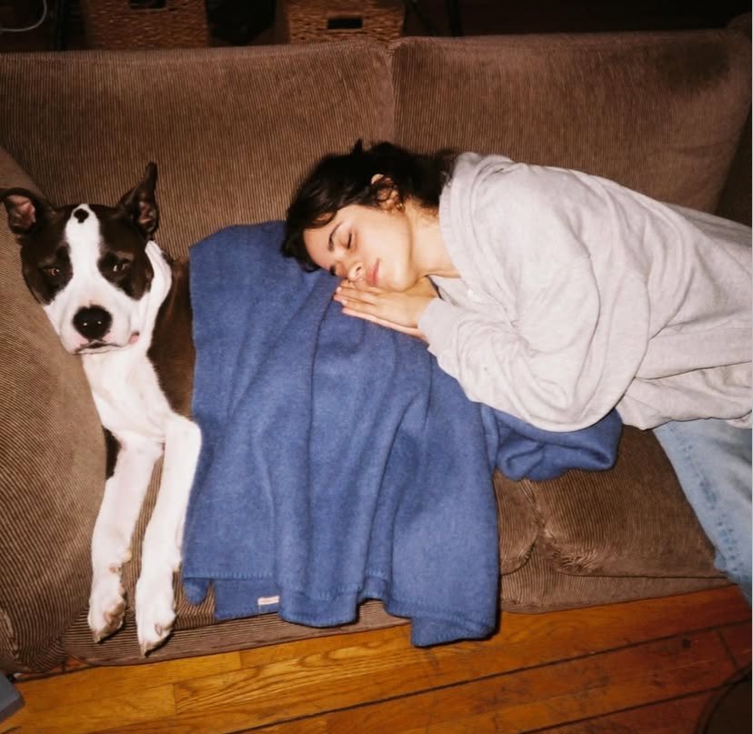 itsmelua ⚢𖤐 ⋆ ͙ࣳ ‧ ₊ ✧ ⊹franchaelaaaaa tweet media