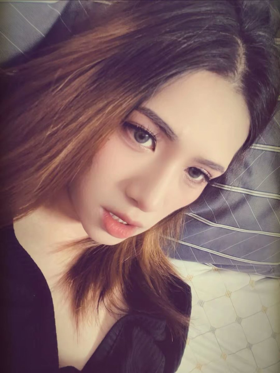 泰迪🍀 tweet media