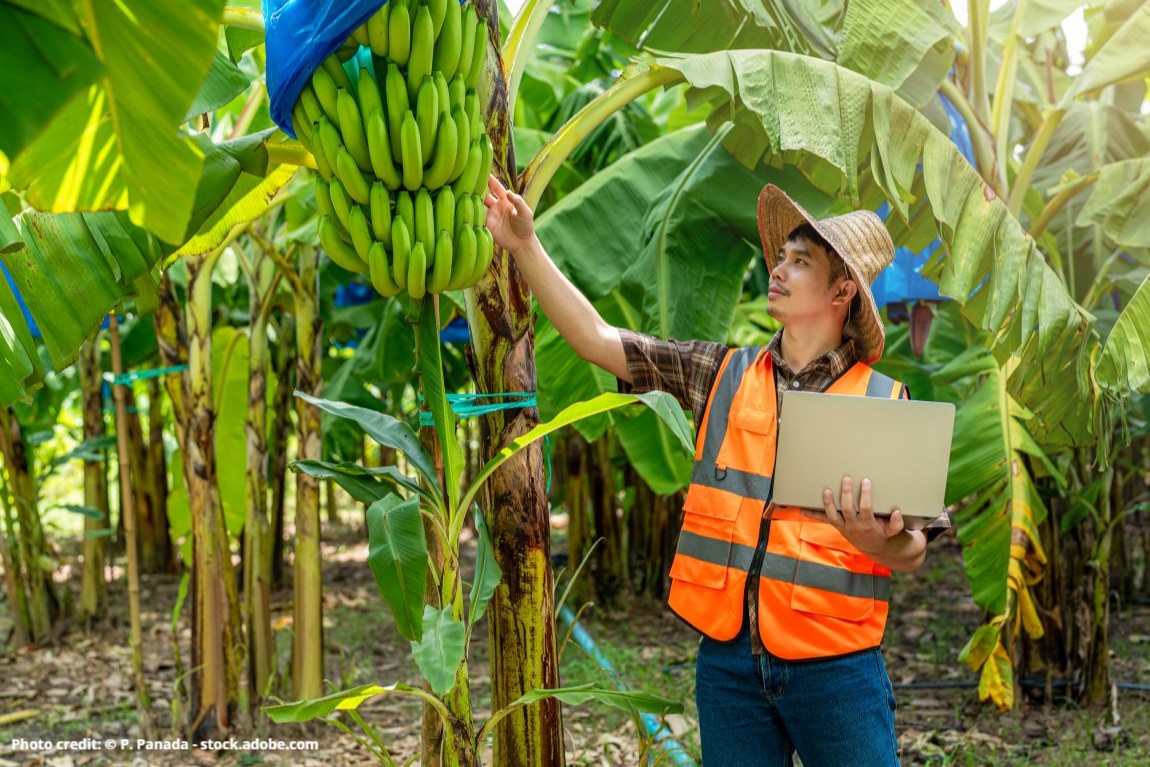 AI can make weather forecasts more accurate and useful. For it to be effective, these conditions must be met: 
 ✔️Invest in better data systems 
 ✔️Strengthen institutions
 ✔️Focus on users
 ✔️Ensure strong risk management

Read more in the blog: wrld.bg/lptX50YaW7c