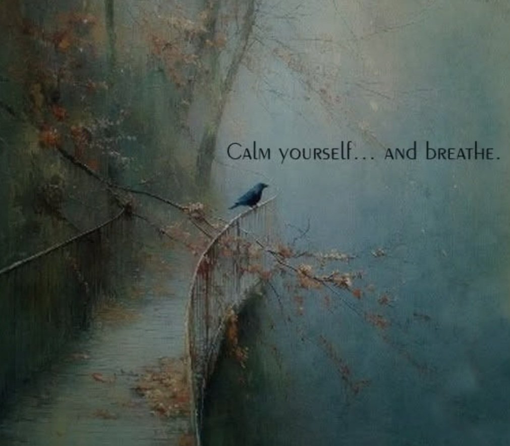 AZALÉE ☯️ 🦋 🕊 🦋 ☯️ tweet media