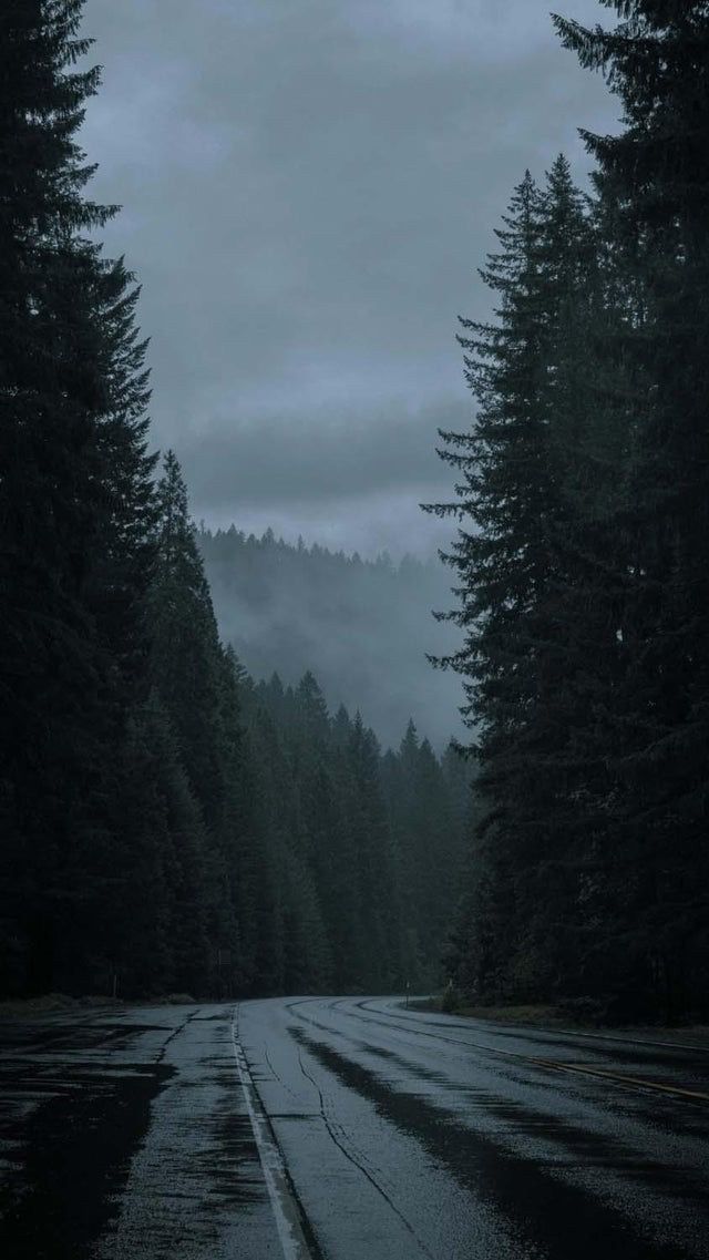 darkdreamvibe's tweet photo. https://t.co/nb5XX5g6yi