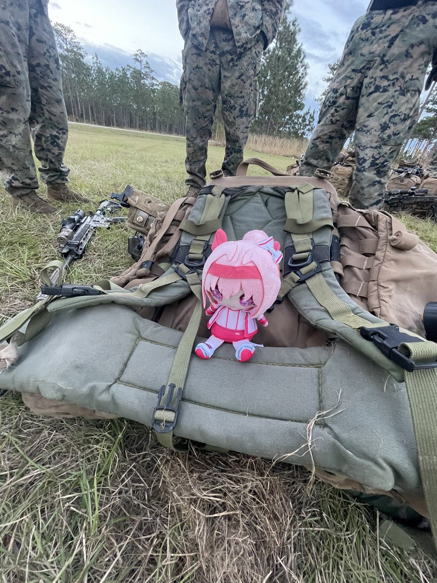 🌸wallfllowerr🌸 tweet media