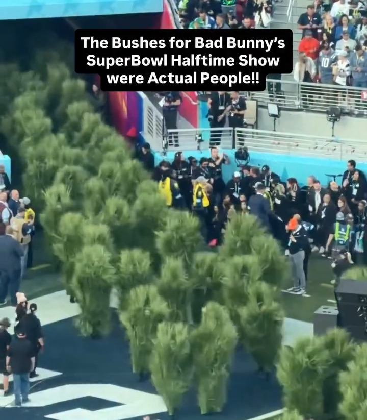 Jihyo wants to collab with Bad Bunny and she even wanted to be one of the trees from his Super Bowl halftime show 😭
