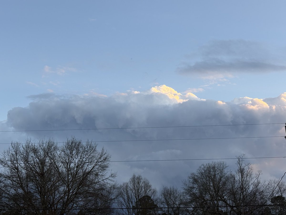 𝚋𝚛𝚒𝚝𝚝 𝚐 🐧 tweet media