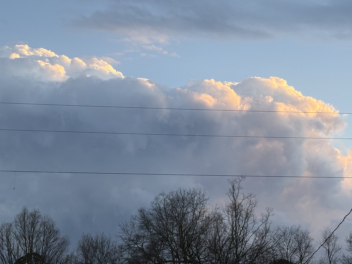 𝚋𝚛𝚒𝚝𝚝 𝚐 🐧 tweet media