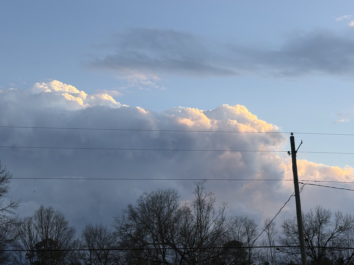 𝚋𝚛𝚒𝚝𝚝 𝚐 🐧 tweet media