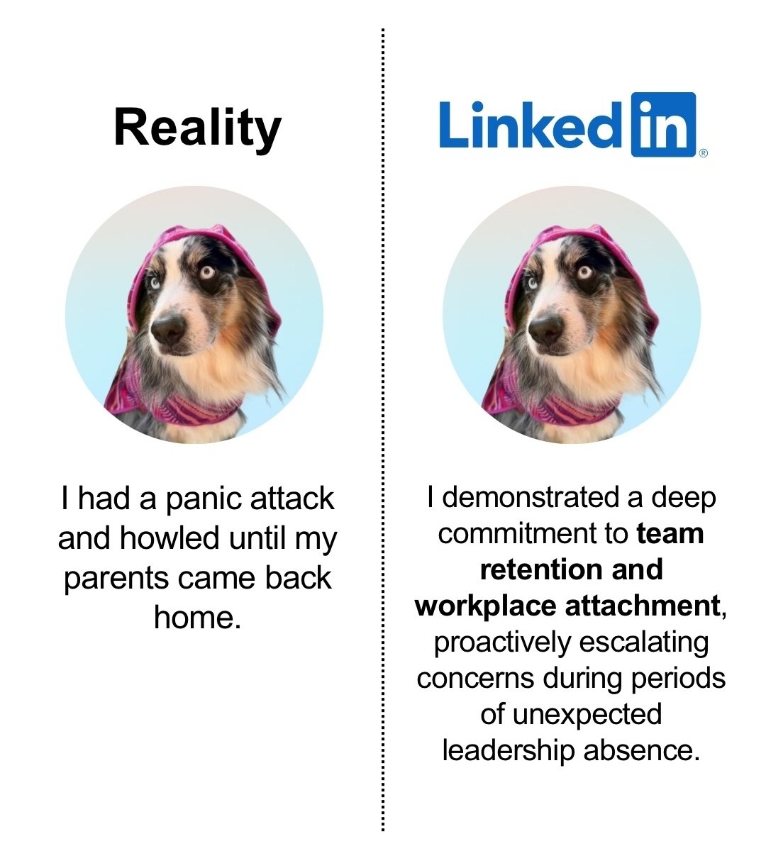 Planet Of Memes tweet media