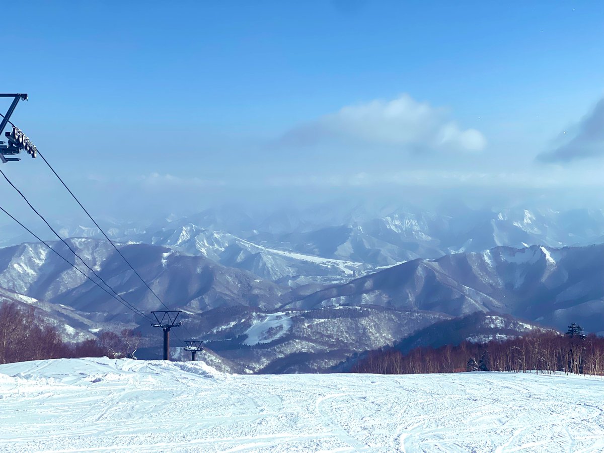 雪峰院 tweet media