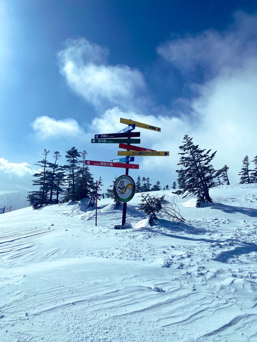 雪峰院 tweet media