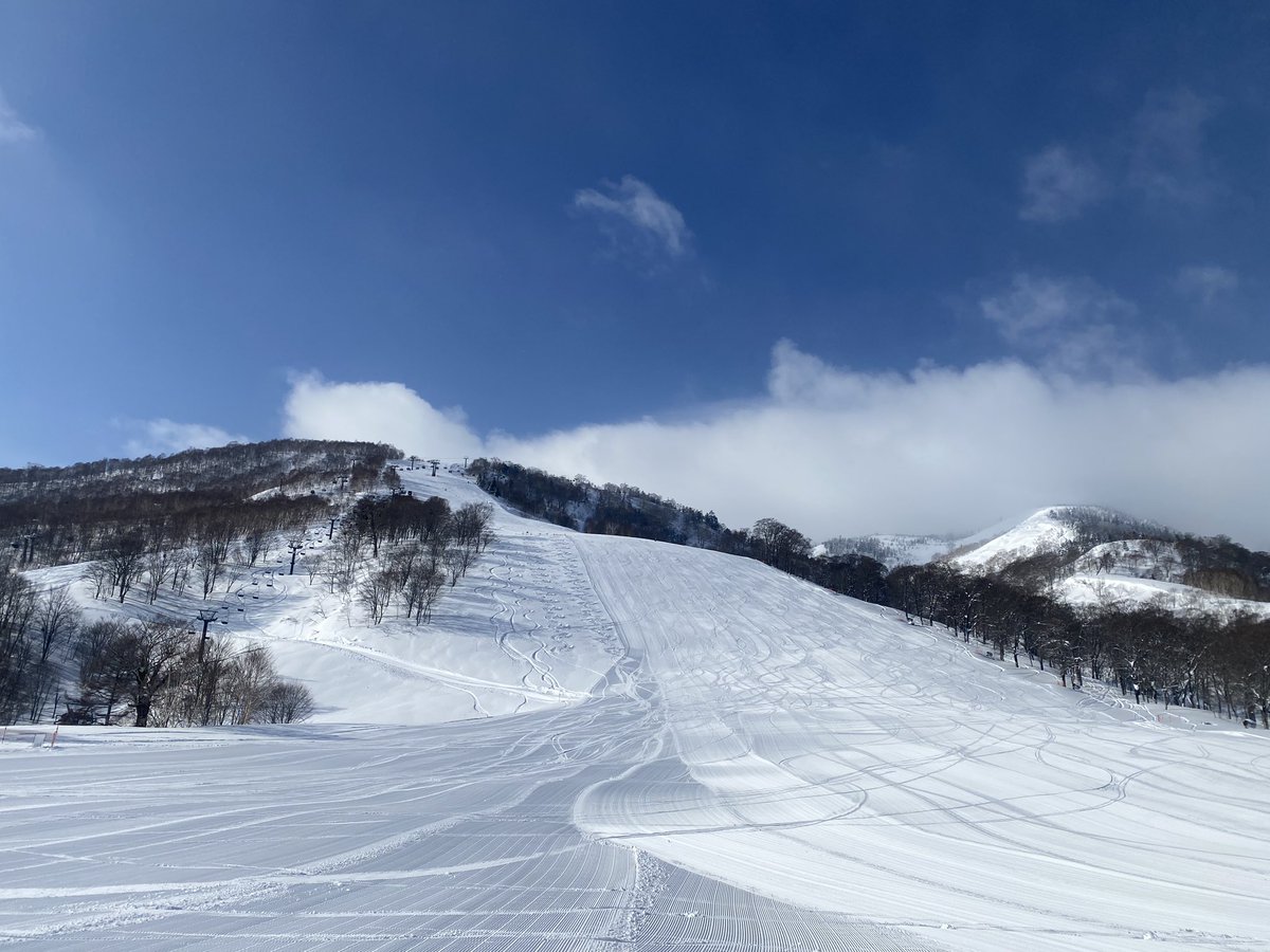 雪峰院 tweet media