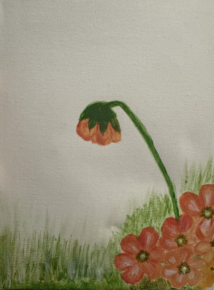 ✨MAY✨ tweet media