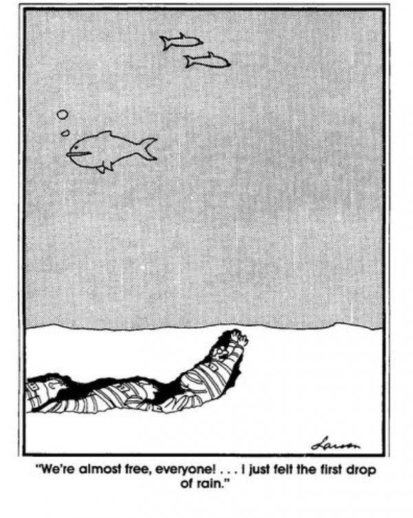 twilly18's tweet photo. #RandomLarson https://t.co/lwCQ5BMvXf