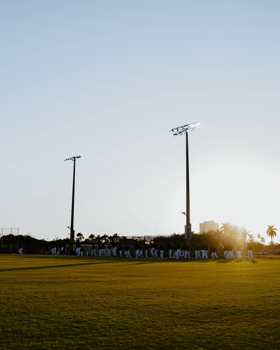 Mizzou Baseball tweet media