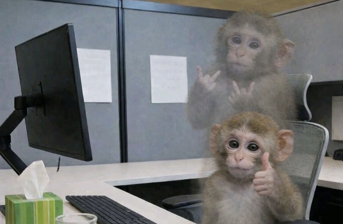 LemonDrop tweet media