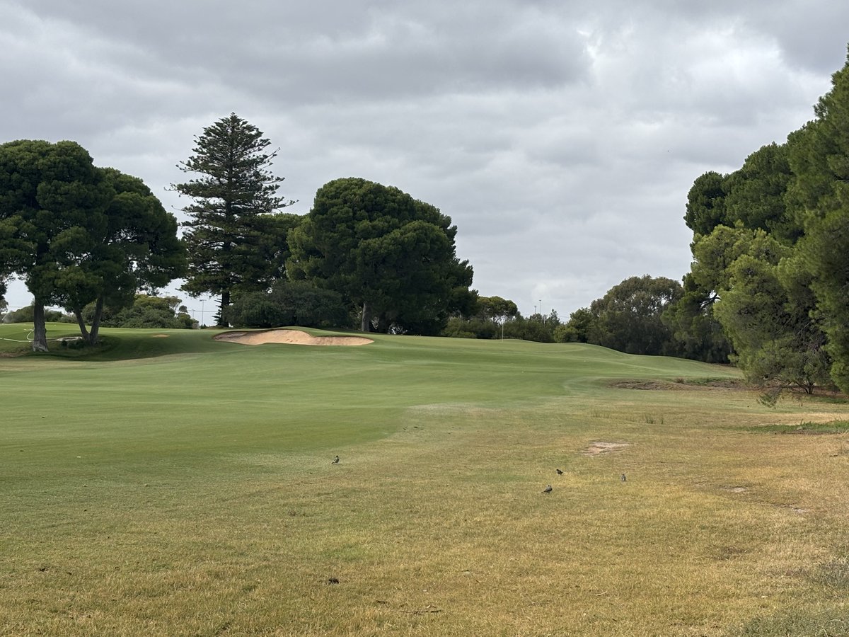 Andrew Kirby tweet media