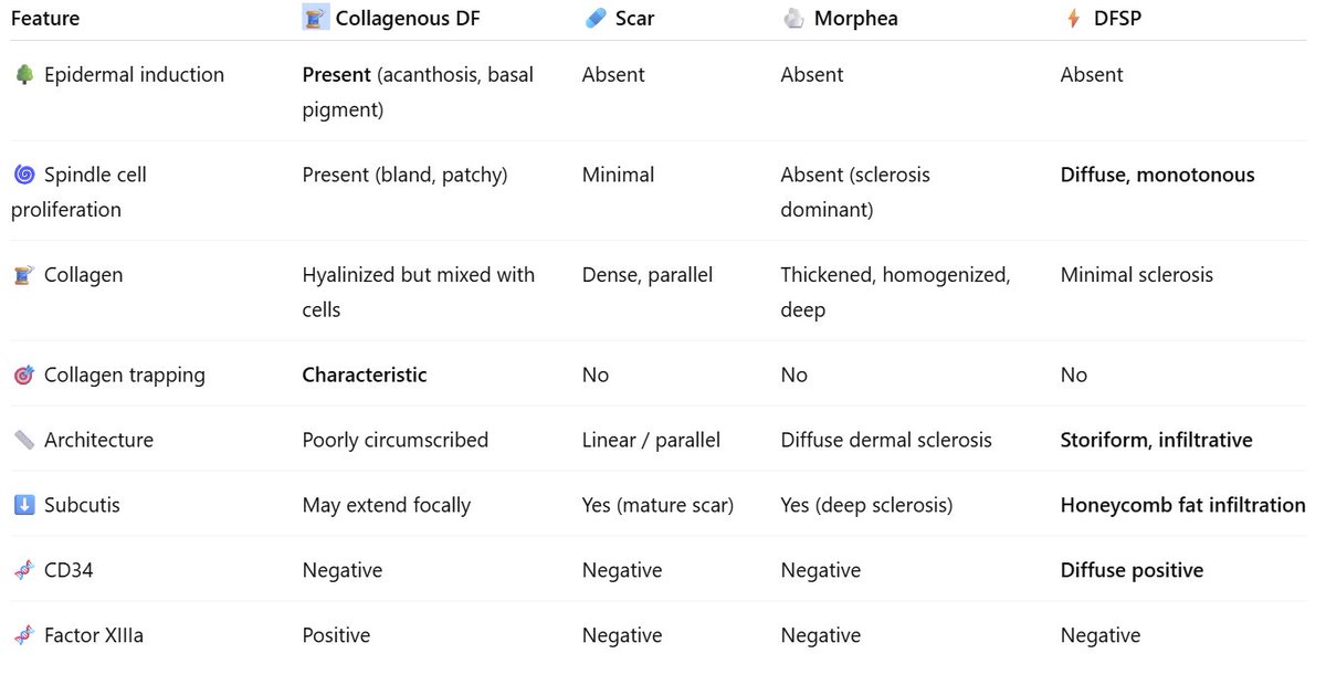 CakePath's tweet image. 🧵Collagenous Dermatofibroma
🌳 Epidermal induction with overlying acanthosis and basal hyperpigmentation
🌀 Poorly cellular interlacing spindle and histiocytic proliferation in the dermis
🧵 Prominent dense, hyalinized (sclerotic) collagen replacing much of the storiform…