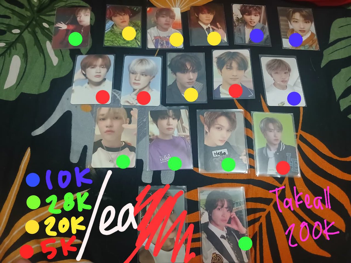 Echa 🧸 || mt after dm plss tweet media