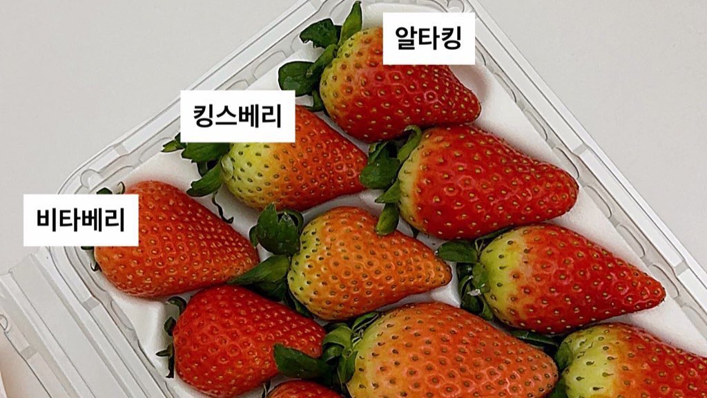 마켓컬리의 역작 <딸기 취향 찾기> 패키지 
6종의 딸기품종을 비교할 수 있었다🍓비타베리가 제일 맛있었고 다시 팔아줘…