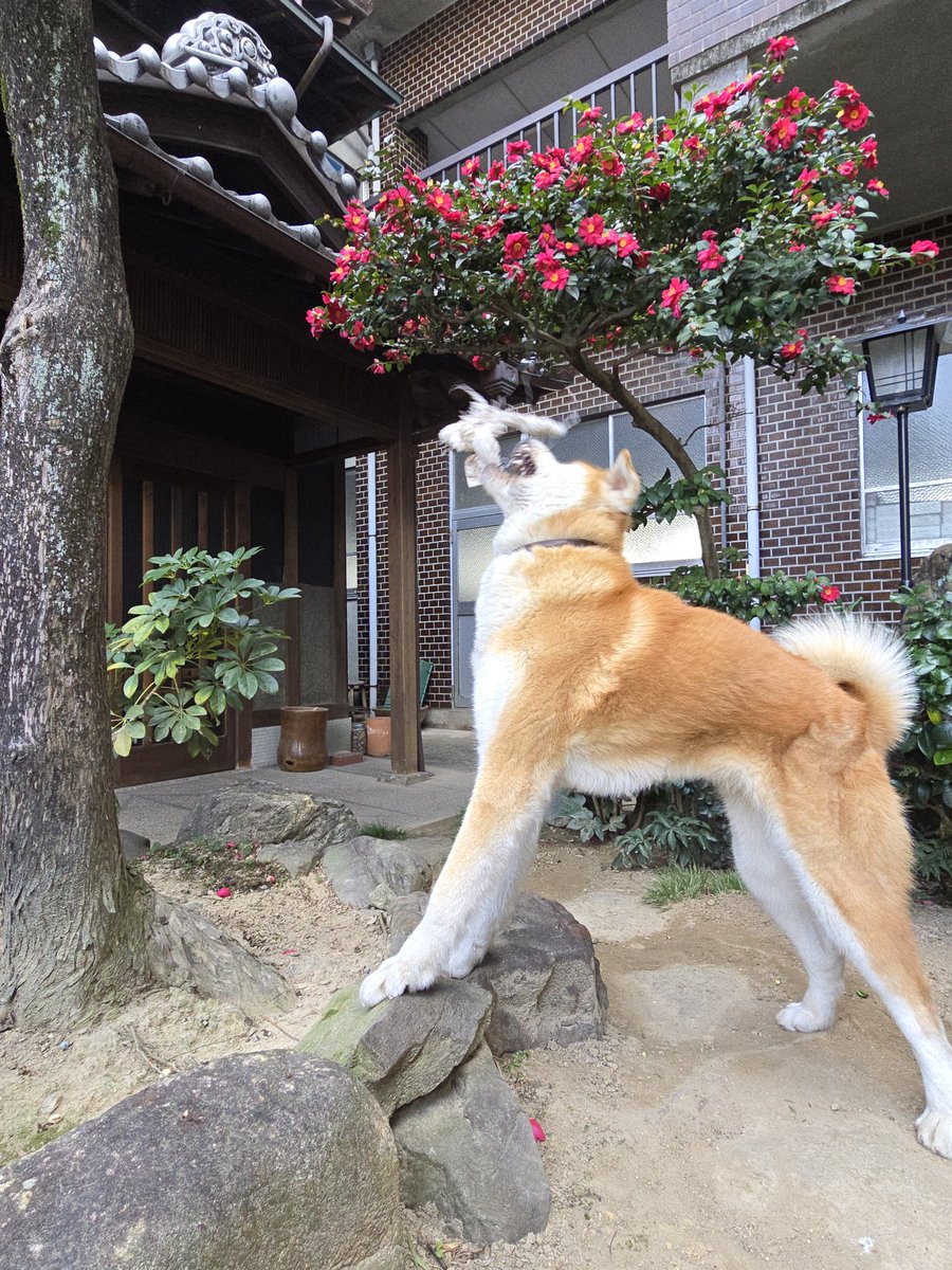 ْ (@65907_30_4) / Posts / X